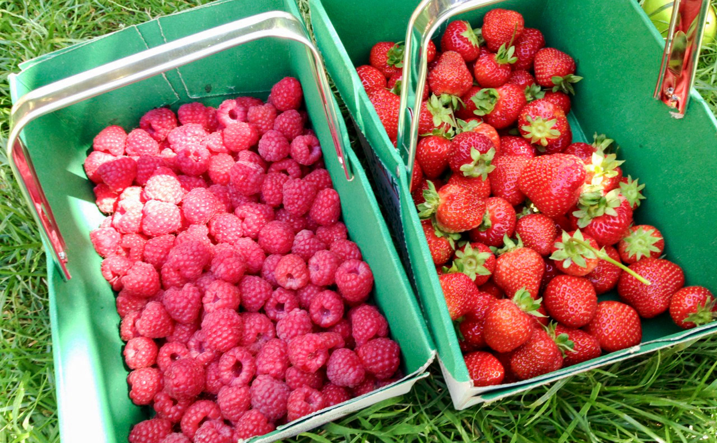 🍓イギリスはおいしい🍓