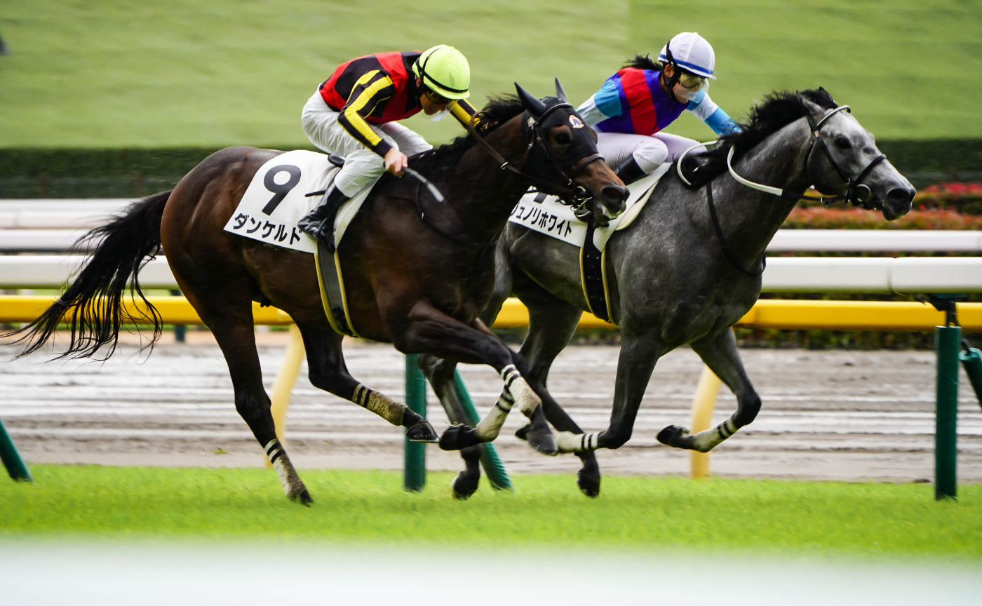 50-400mm望遠レンズで撮ってみた～東京競馬場～