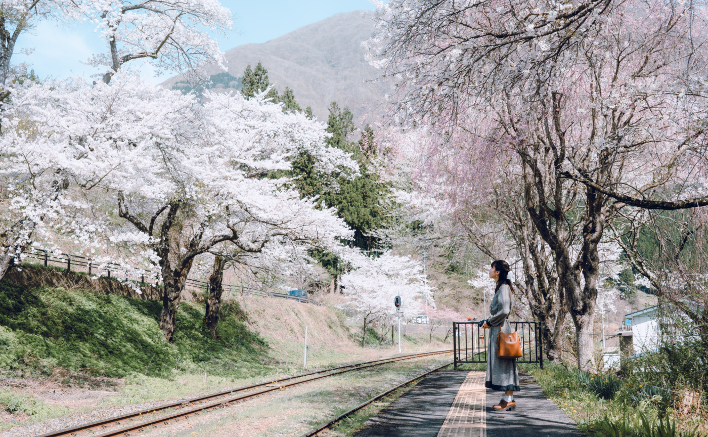 カメラ仲間と行く、春を集めた福島の旅