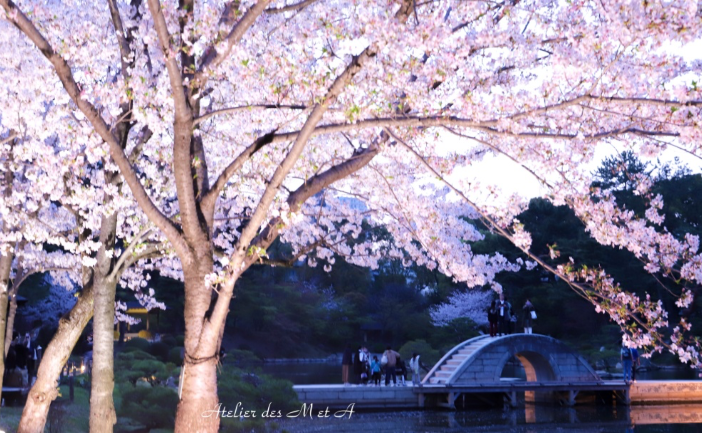 First take ／ はじめての、写真塾「春を集めて」