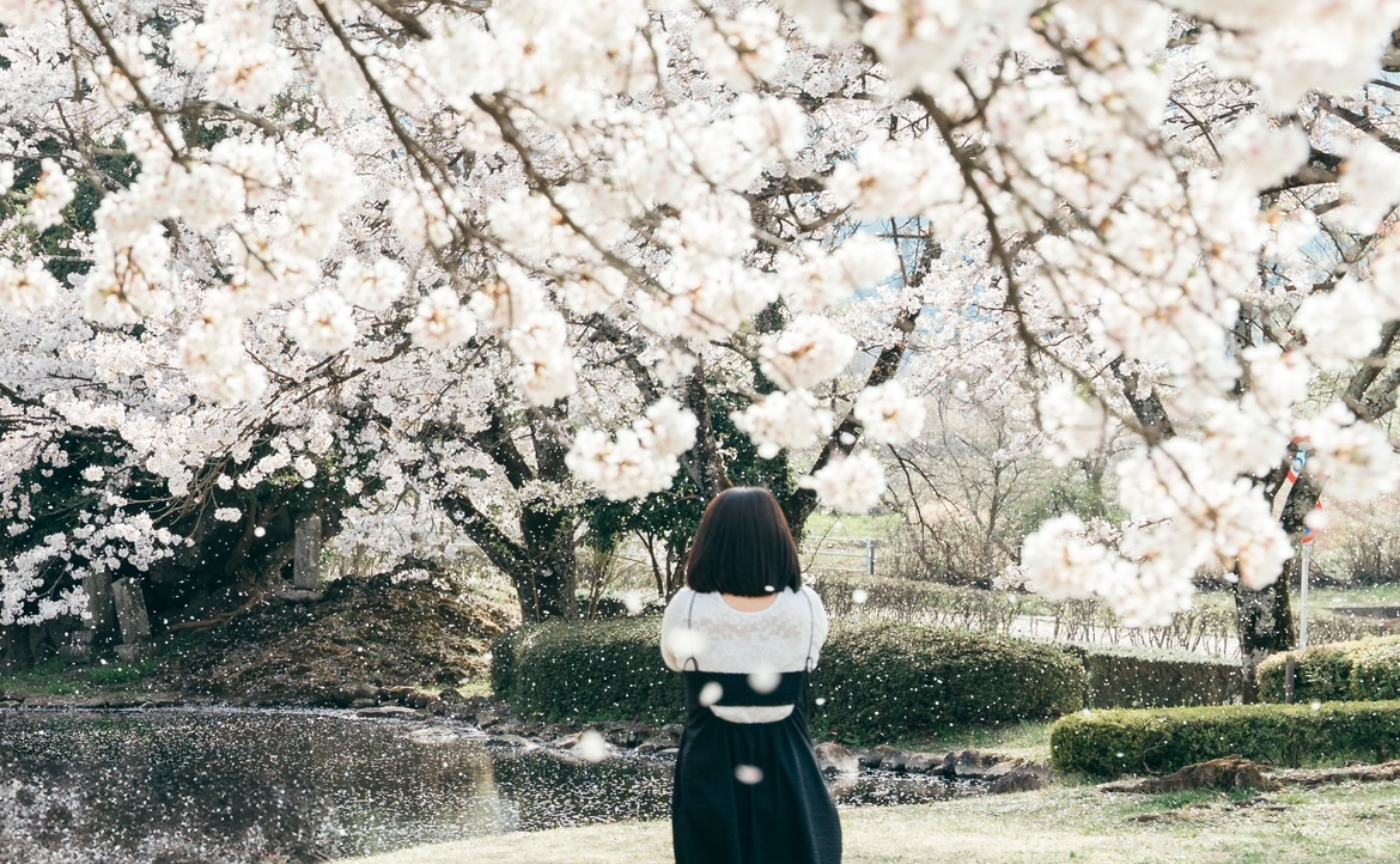 【レポ】春を集めて。福島花巡りツアー2日目