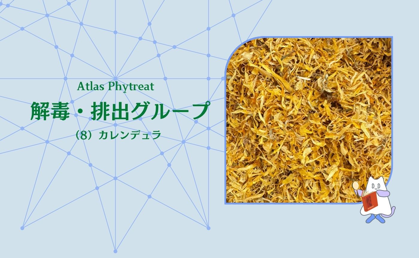 (8)解毒・排出グループ カレンデュラ