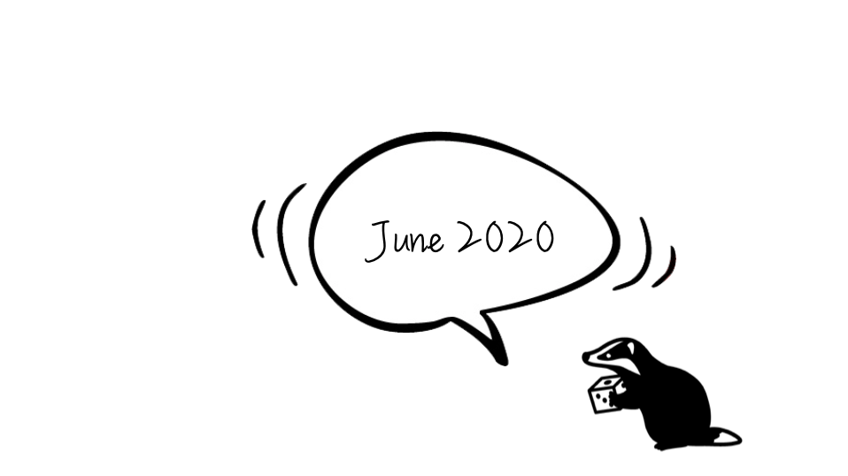 2020年6月の活動