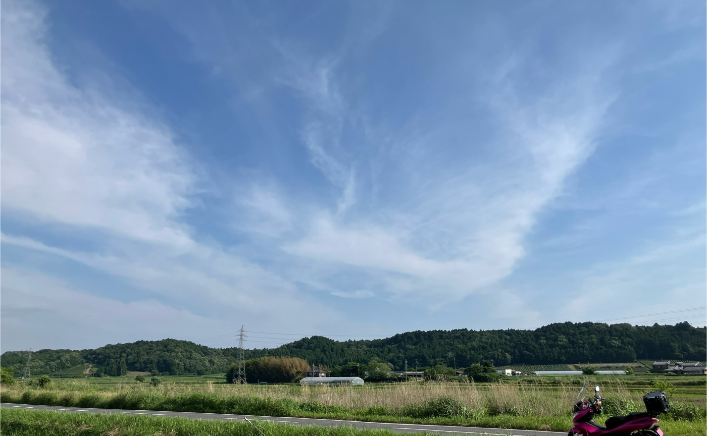 “出会い“の始まり