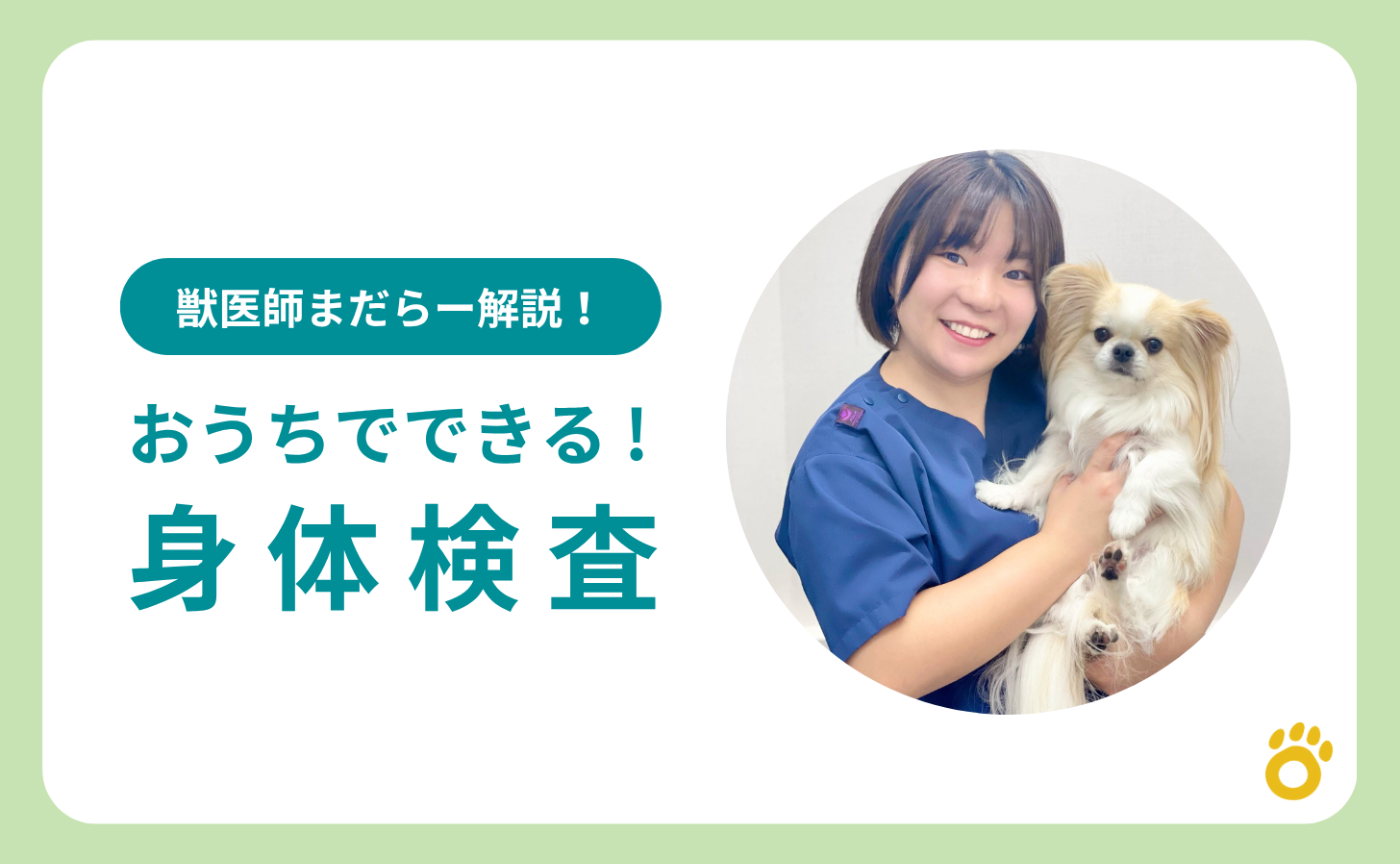【獣医師まだらー解説】おうちでできる身体検査