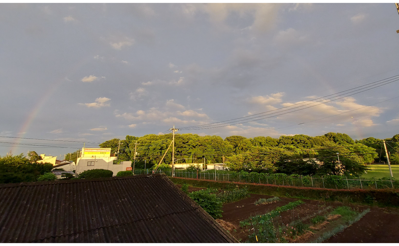 祝福の虹🌈