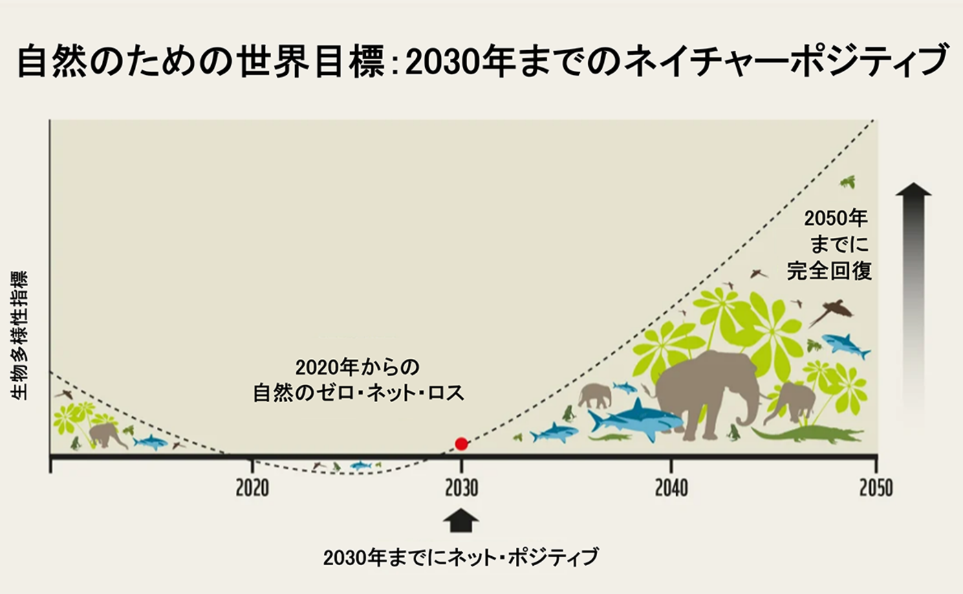 ネイチャーポジティブから逸れないための10原則