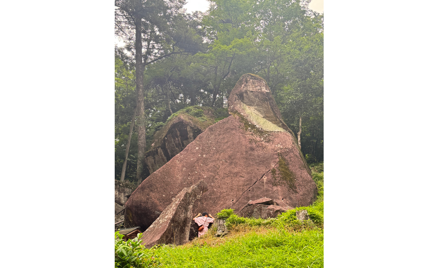 きらきらに蒸される日々