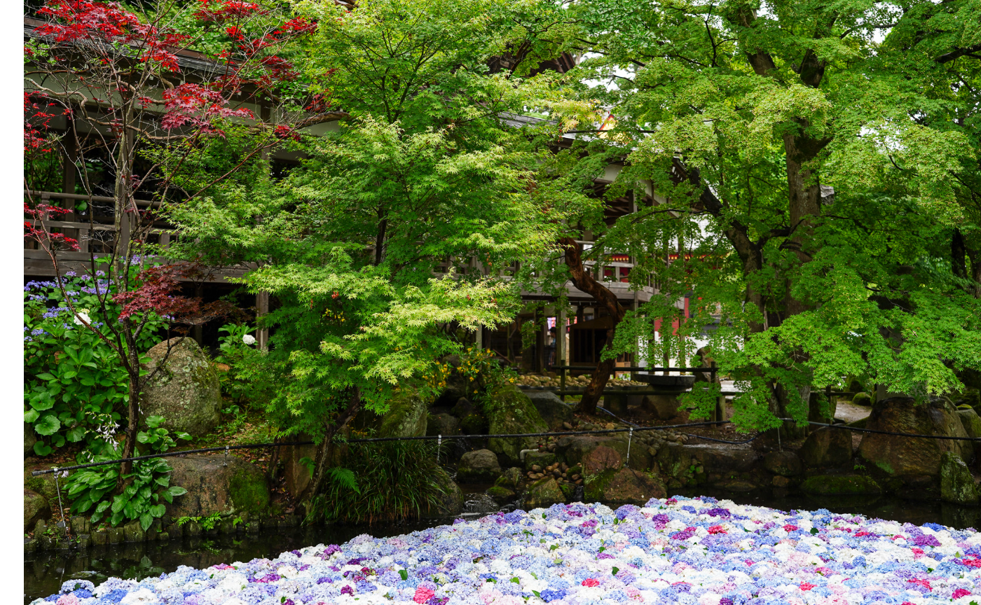 【茨城】大雨予報はどこへやら…雨引観音へ。