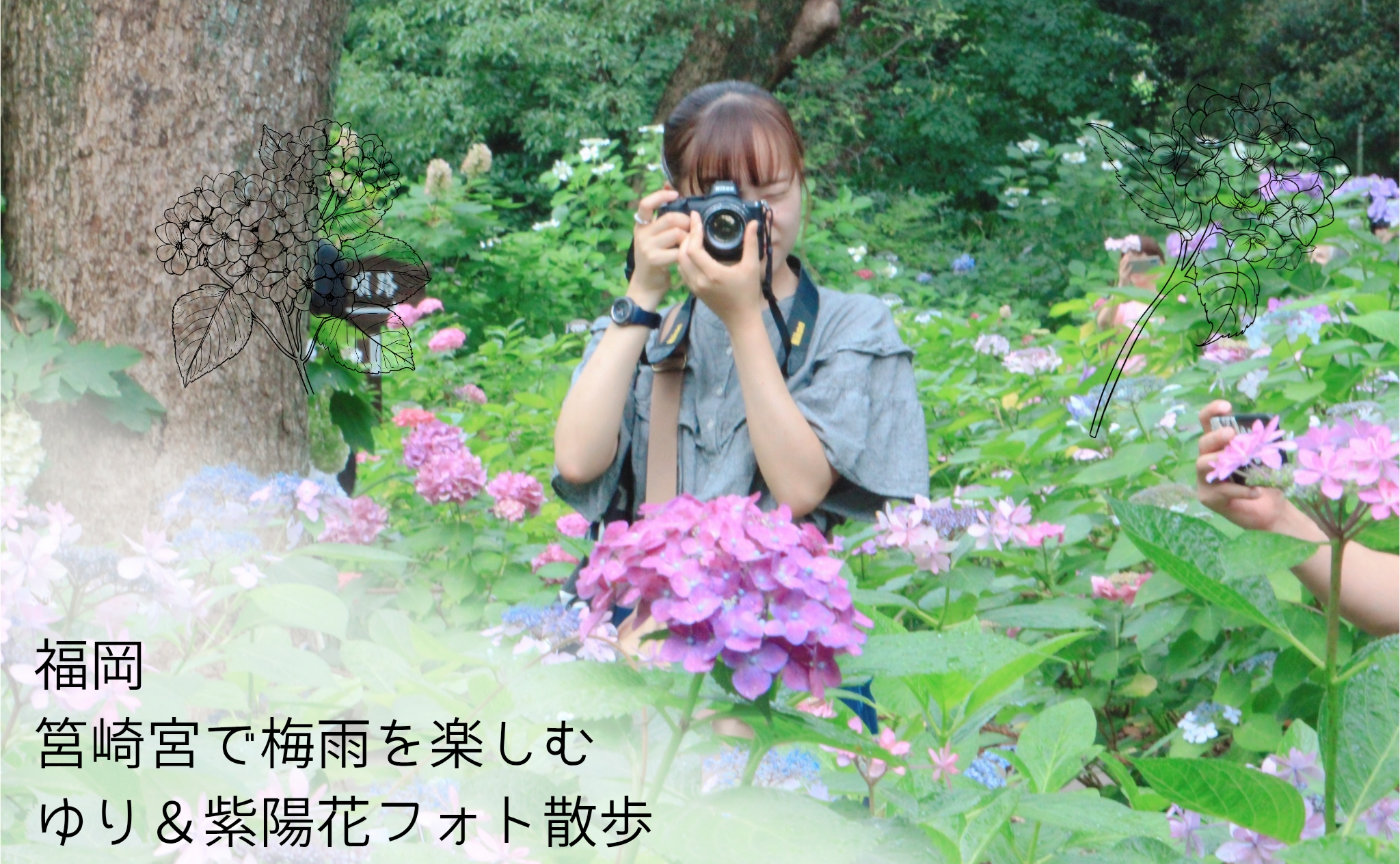 【レポ】福岡 筥崎宮で梅雨を楽しむ ゆり&紫陽花フォトさんぽ