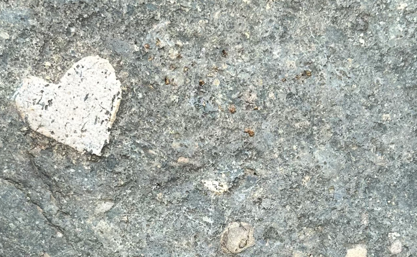 日々のピースたち