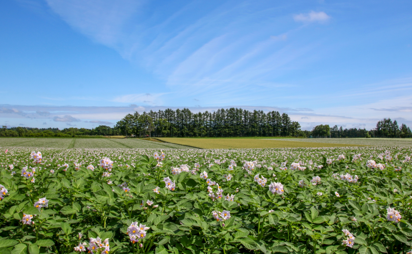 【8/2～3　羽田空港産直館で十勝体験！】　
大自然とグルメに癒される！中札内村＆日高山脈襟裳十勝国立公園の魅力発見の旅
