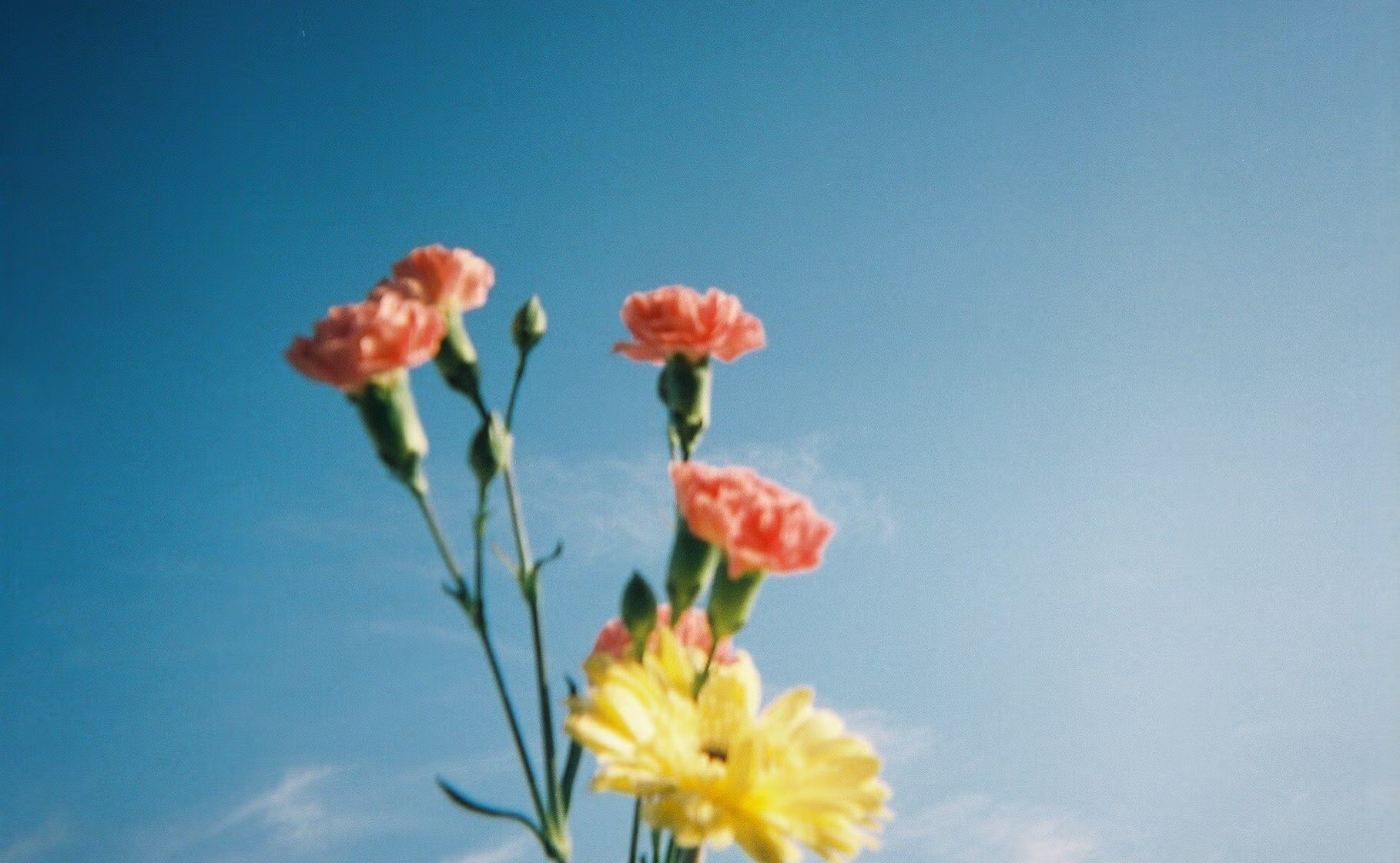 4月〜6月開催 /つぶやきで参加!アートフォトコン 受賞作品発表