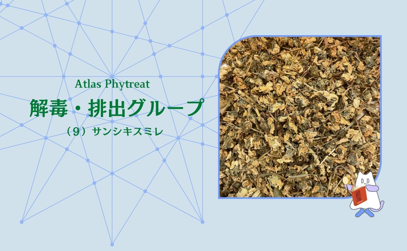 (9)解毒・排出グループ サンシキスミレ