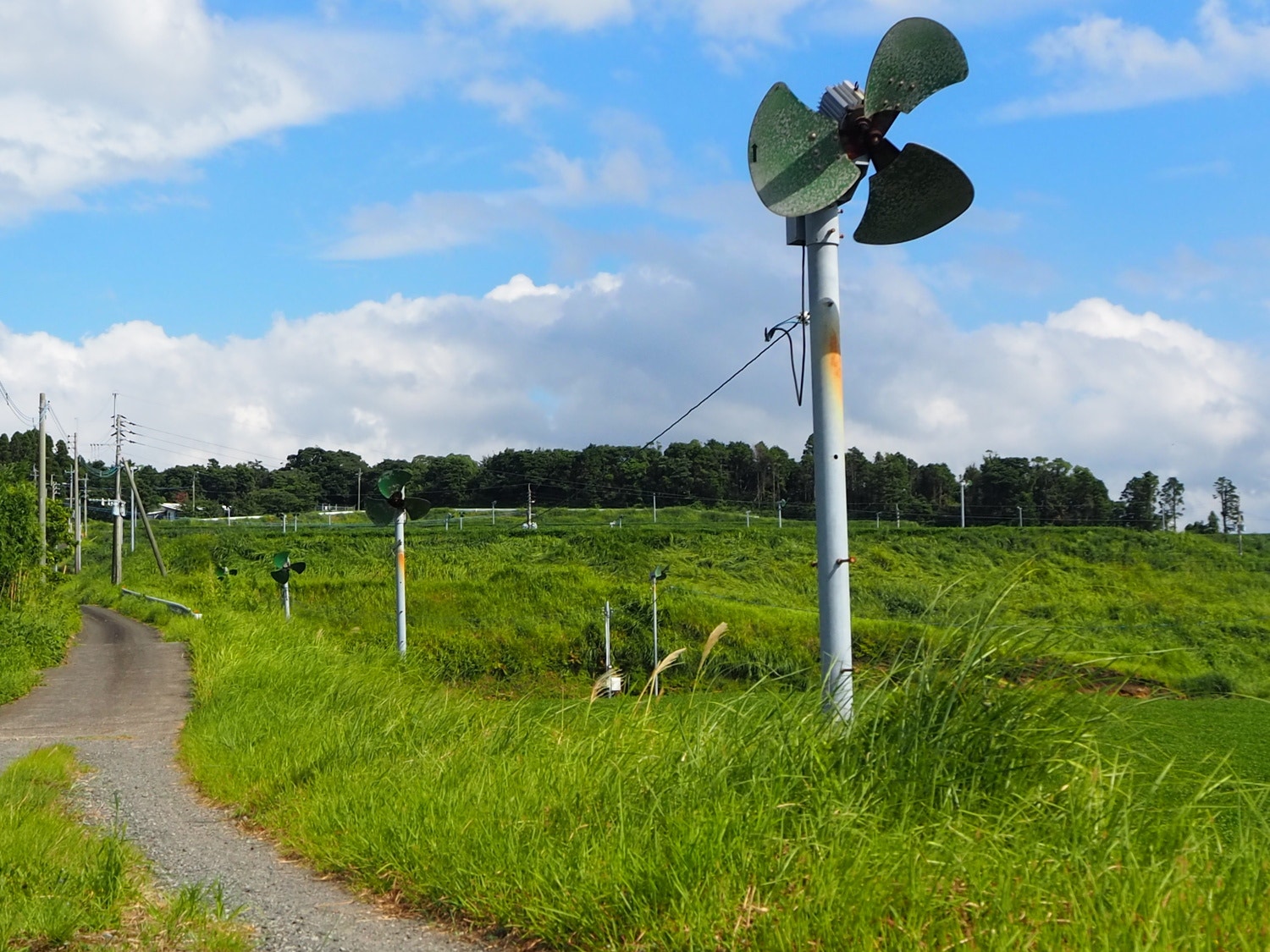 みんなと生きていく武器を磨きたい