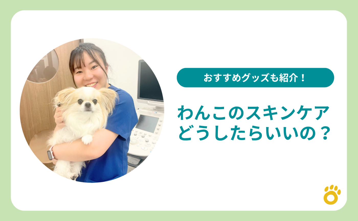 わんこのスキンケアってどうしたらいいの？