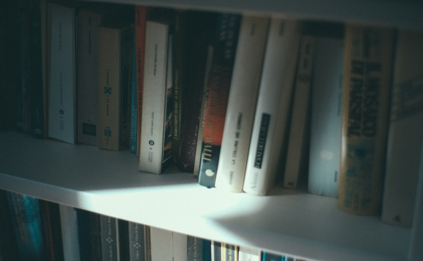 平野啓一郎著　「文学は何の役に立つのか？」