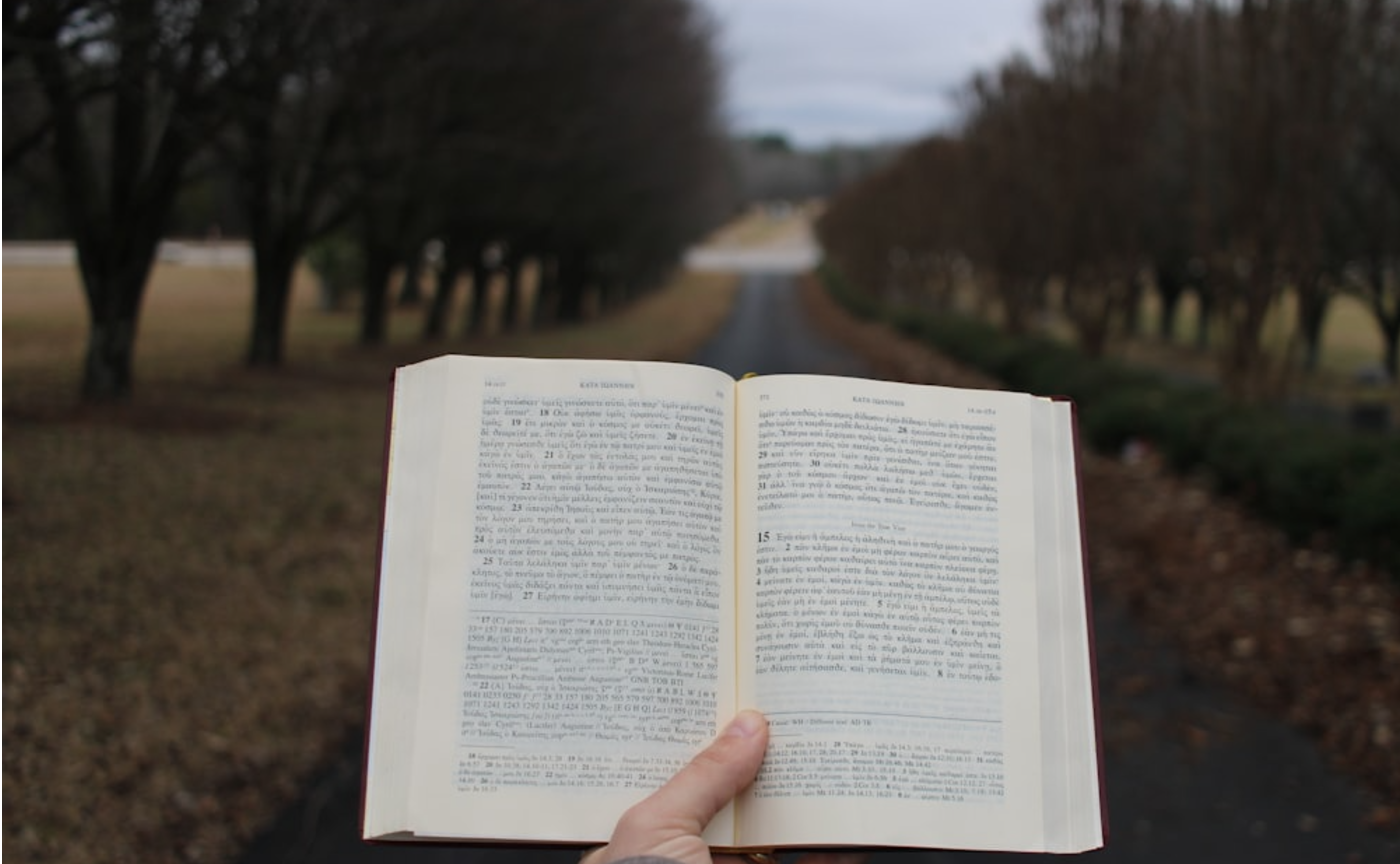 📚平野啓一郎著『文学は何の役に立つのか？』を読んで 📚