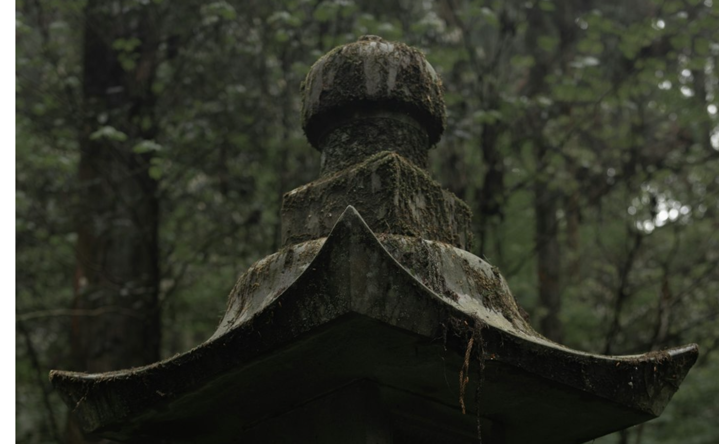 チームみらいに足りないもの、それは「○○」だ！