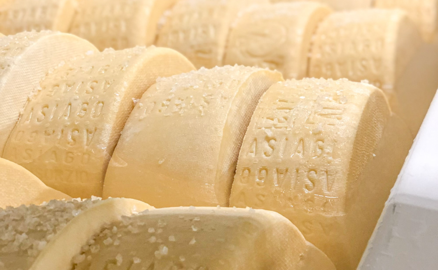 六本木店｜季節を味わう イタリアチーズと食のマリアージュ