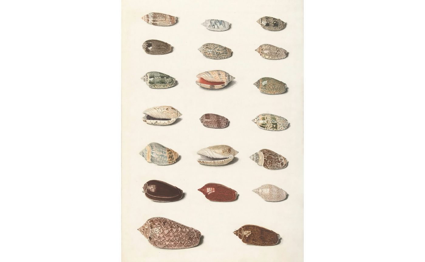 「文学はなんの役にたつのか？（平野啓一郎）」を読んで、考えたのは『個』と『社会』について。