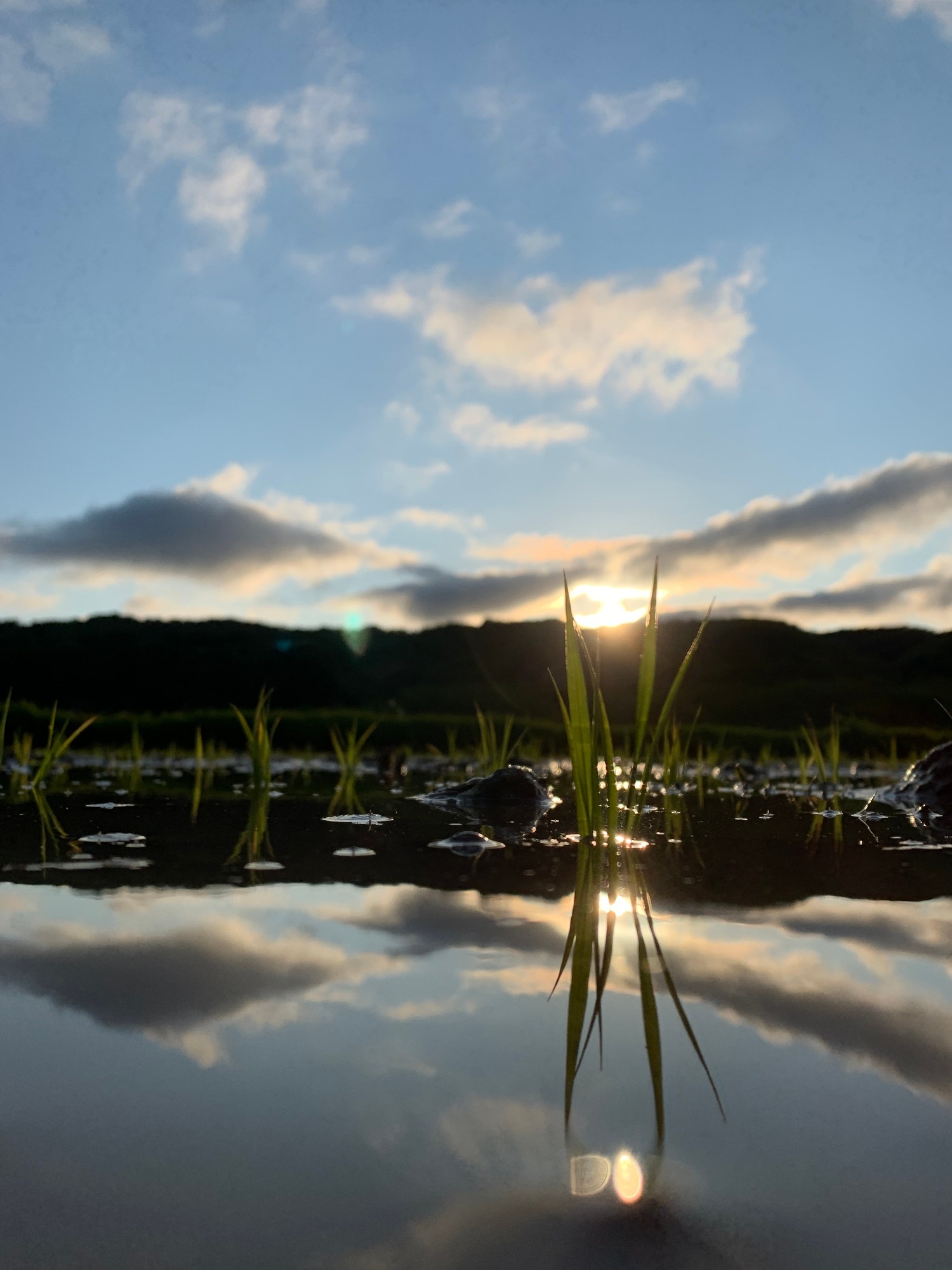 シンプルとは、何だろう