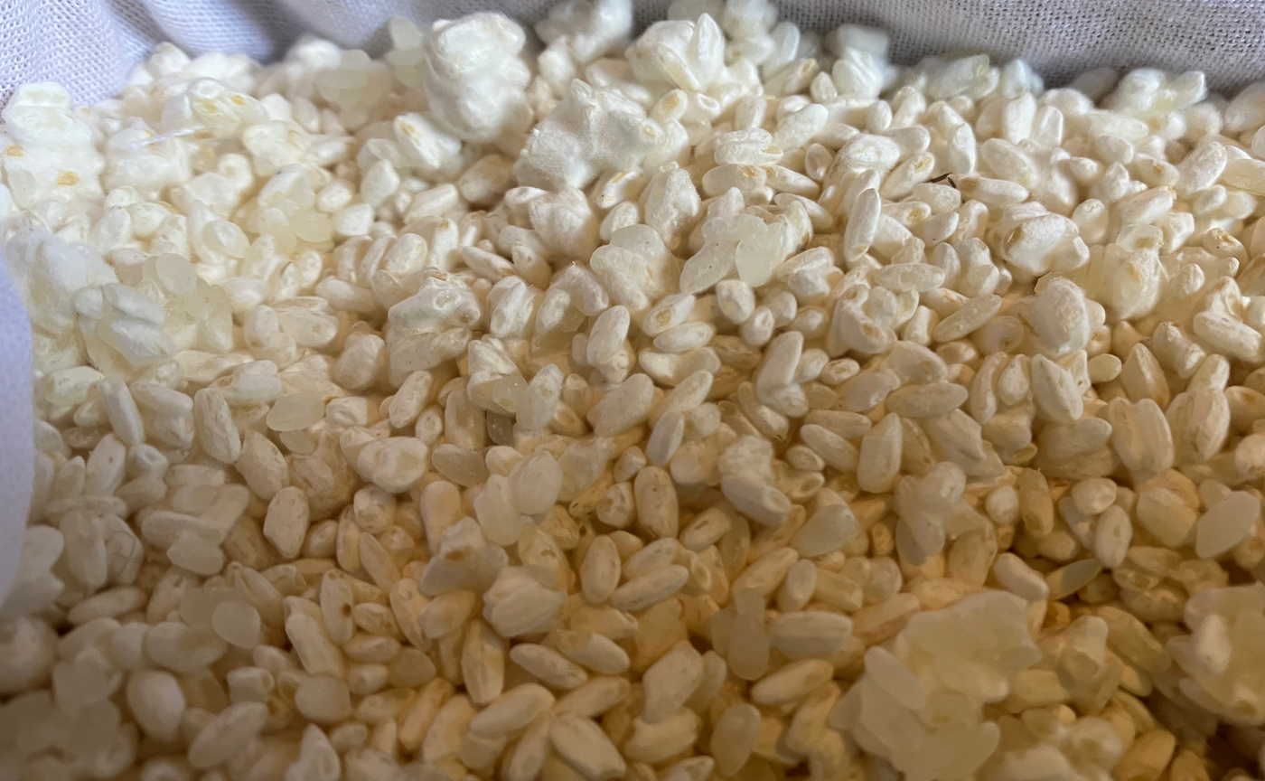 糀調味料と糀料理を作ってたべよう！