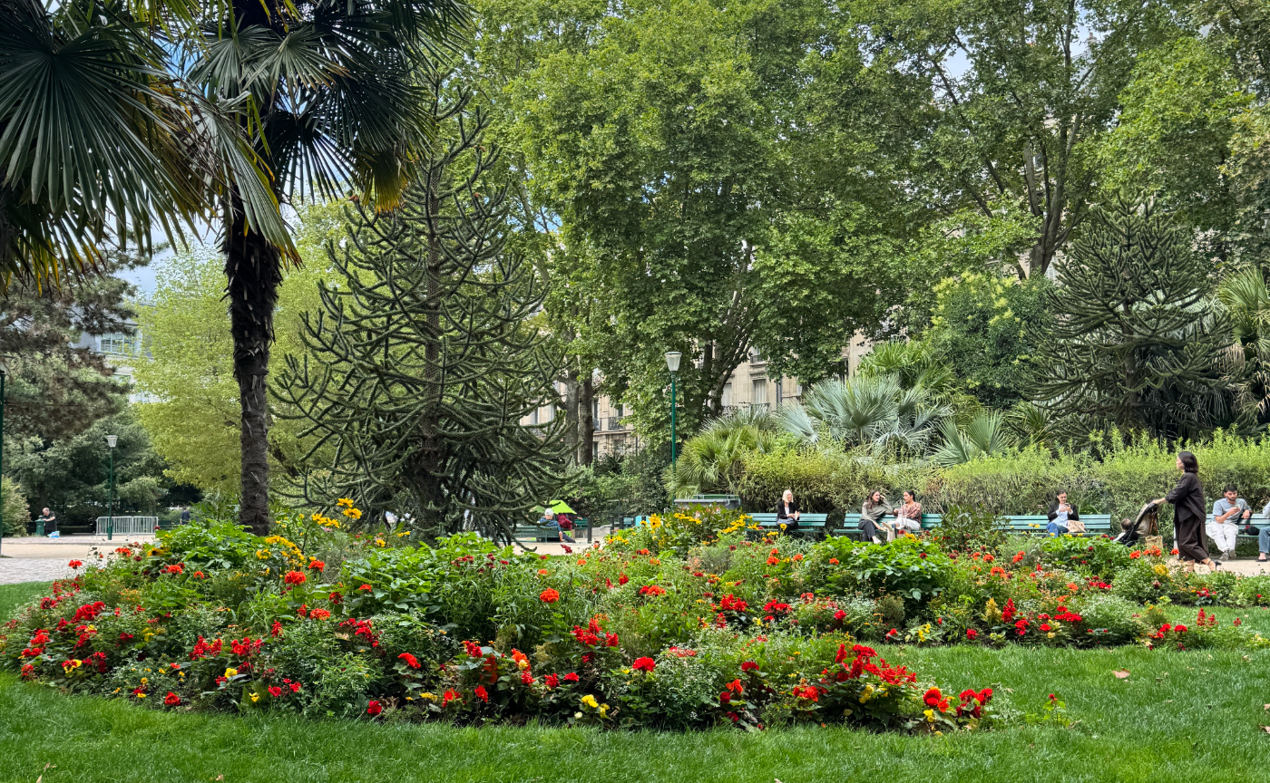 Phytreatweb 8月のスケジュール