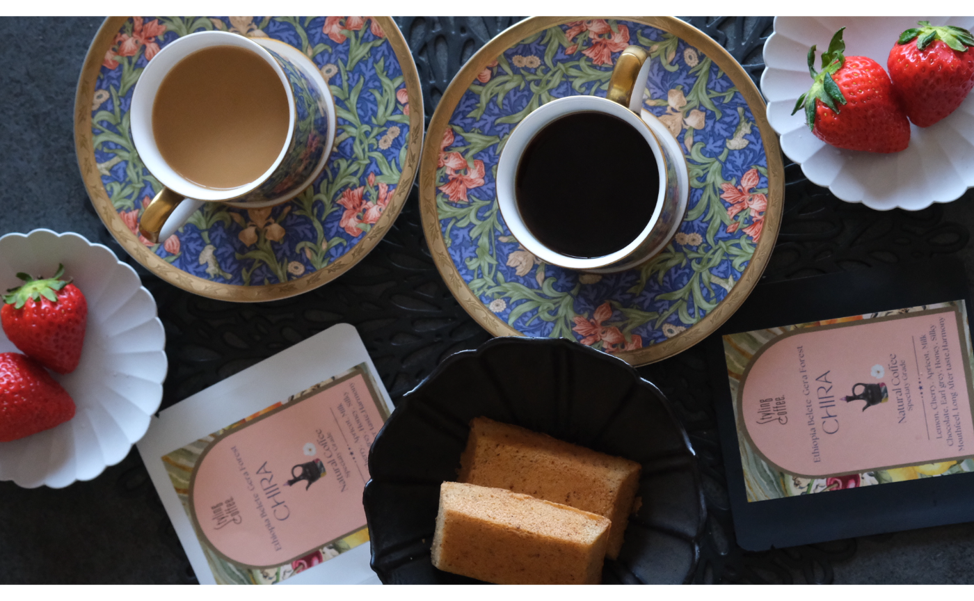 【新プラン】LAB. について。