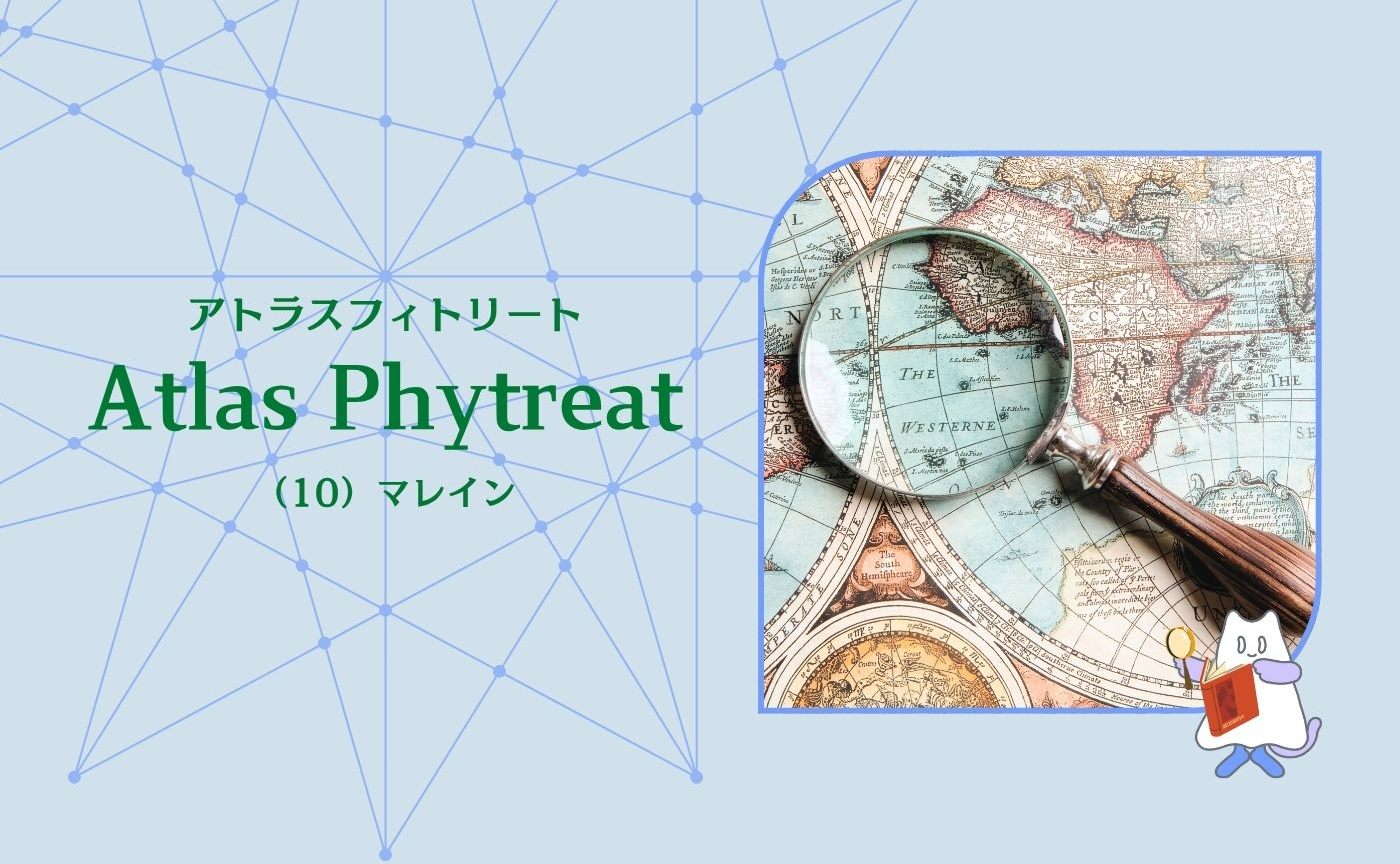 （10）解毒・排出グループ　マレイン