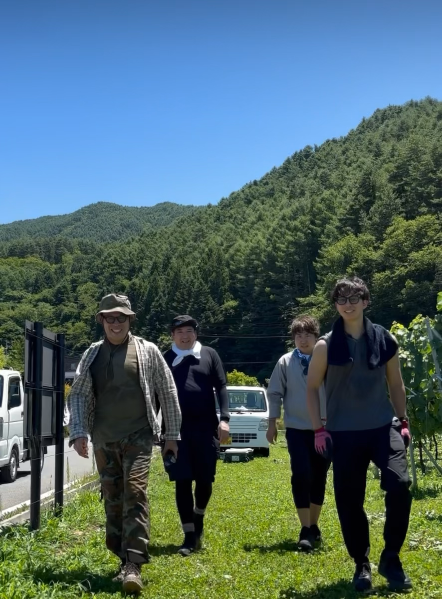 盛夏の新梢と生命の息吹