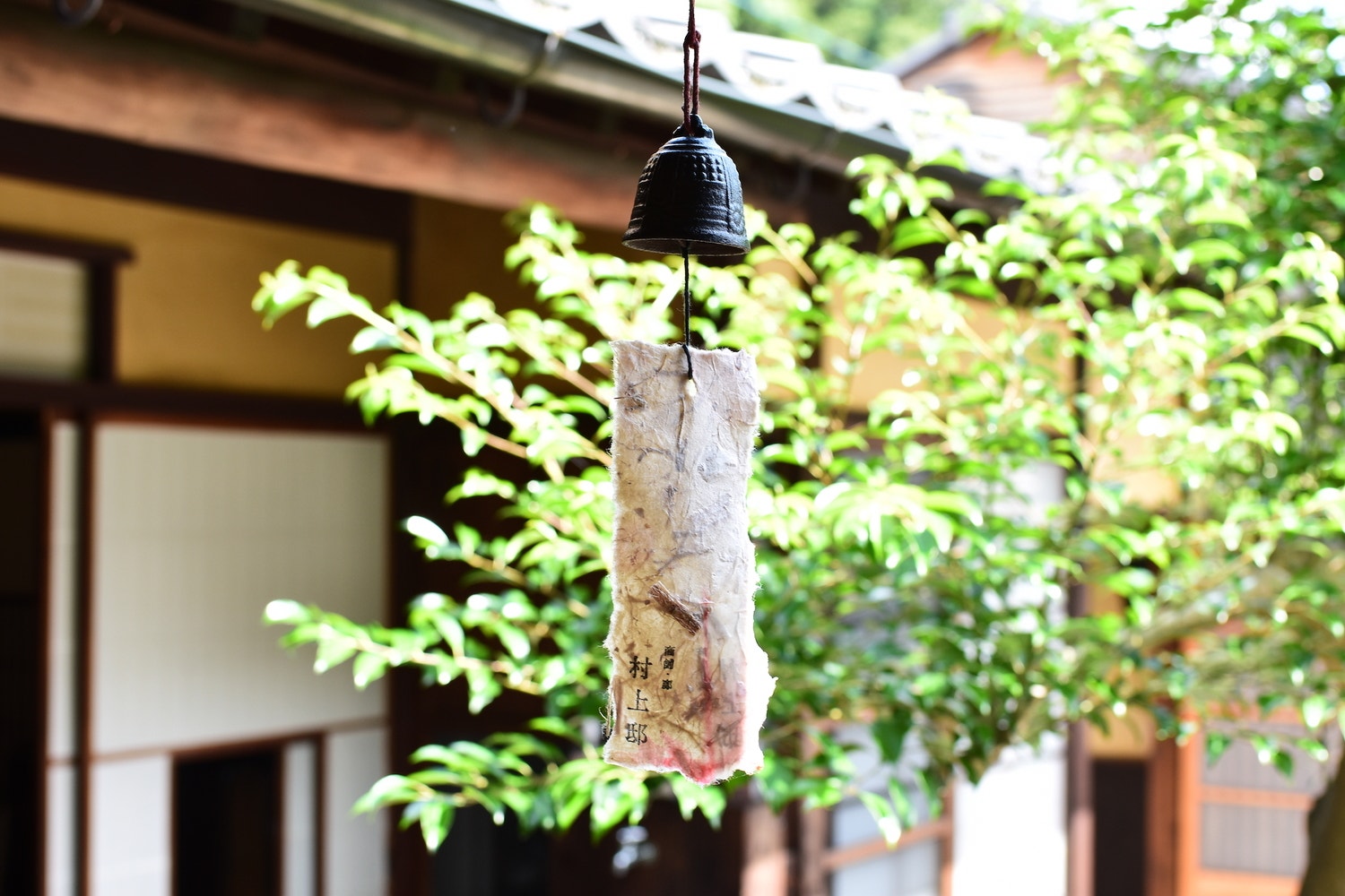 月刊Wasei Salon 6月号