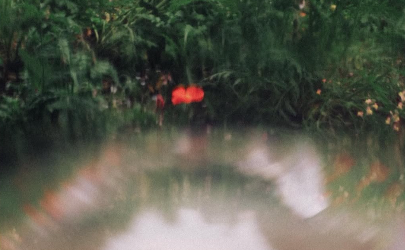 そんちょー報 ｜Vol.15