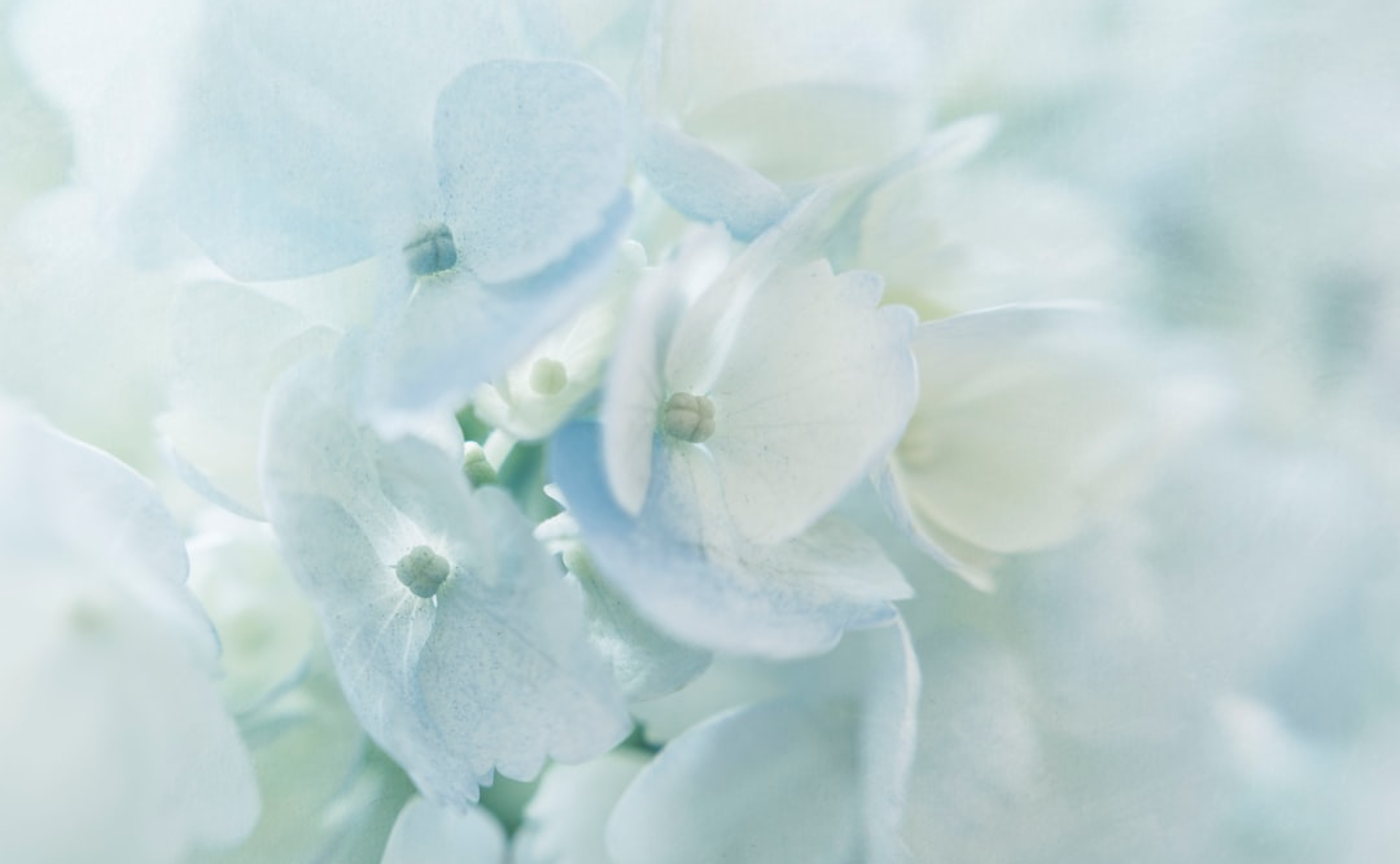 【4つの気質】キーパーソン