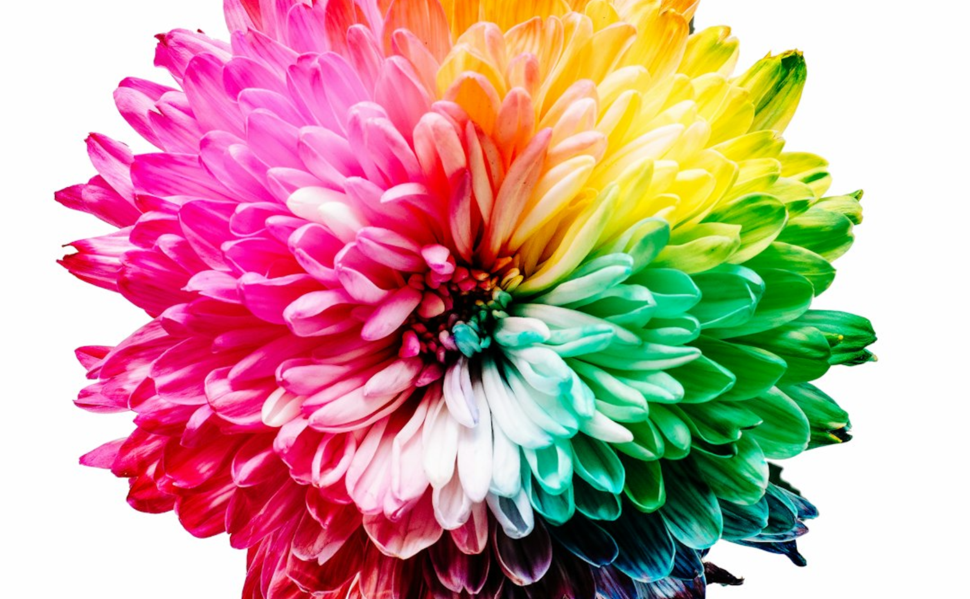 【４つの気質】シュタイナーの色彩論〜気質との関わり〜