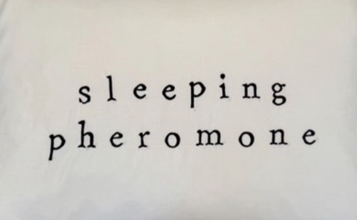 🫧㊙︎🫧リアル内緒話です。