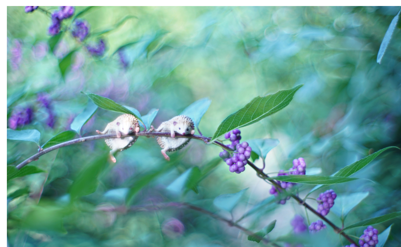 【アイテム】ガチャのすすめ