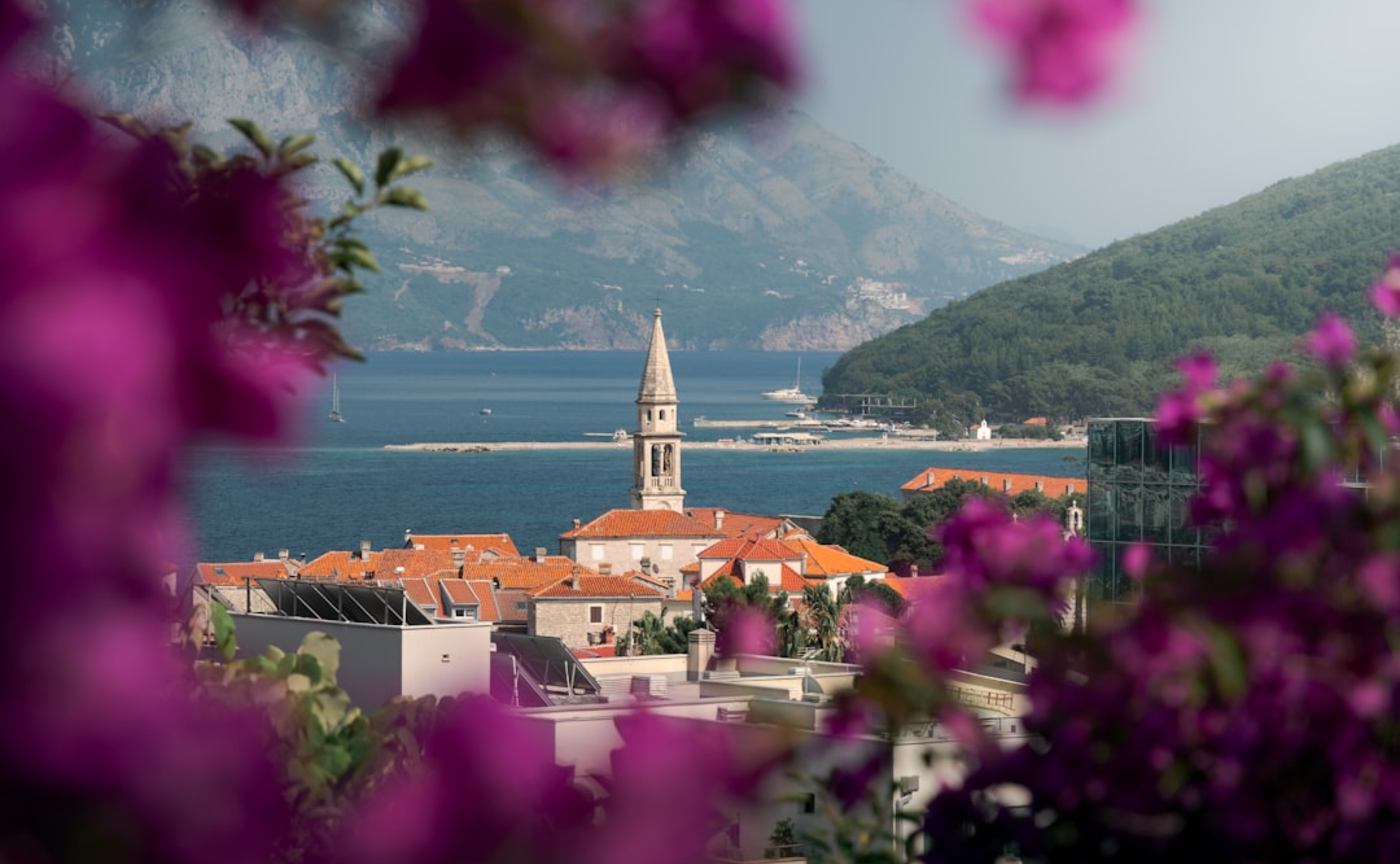 哲学雑談　どの学習形態がいいの？（ハイデガー×非隠蔽性）　