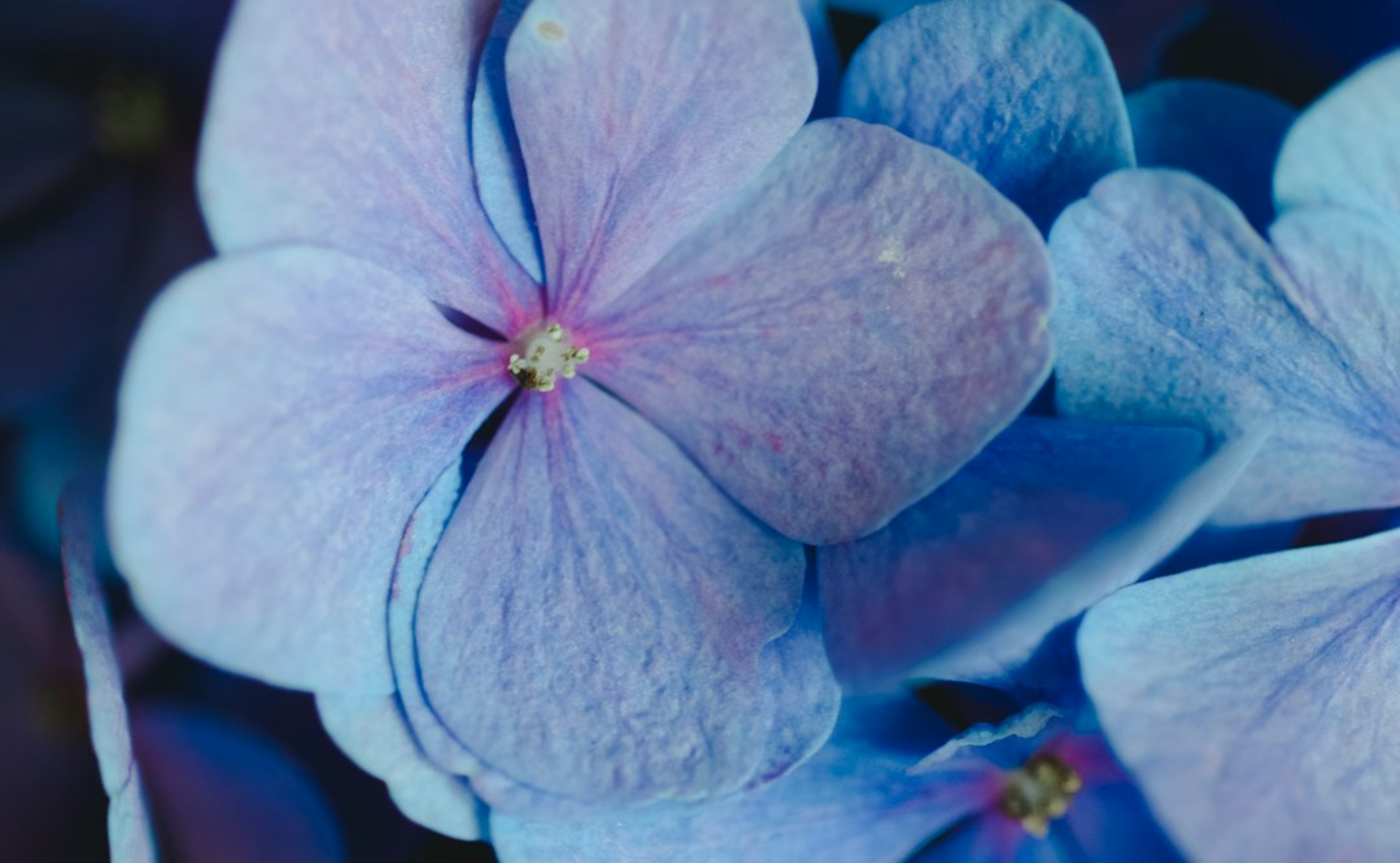 「自由」が「生きづらい」と感じる憂鬱粘液という気質