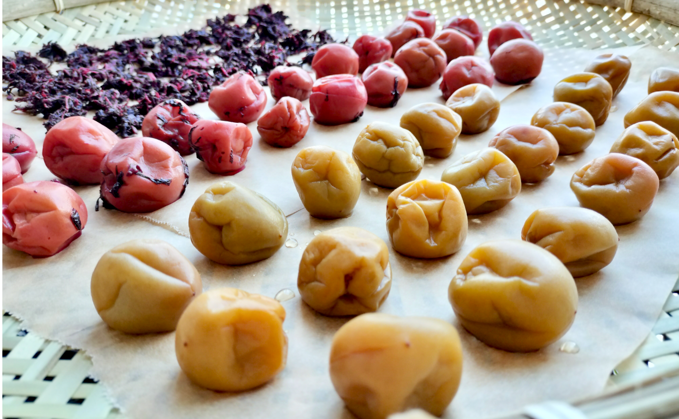 梅しごと💚2025