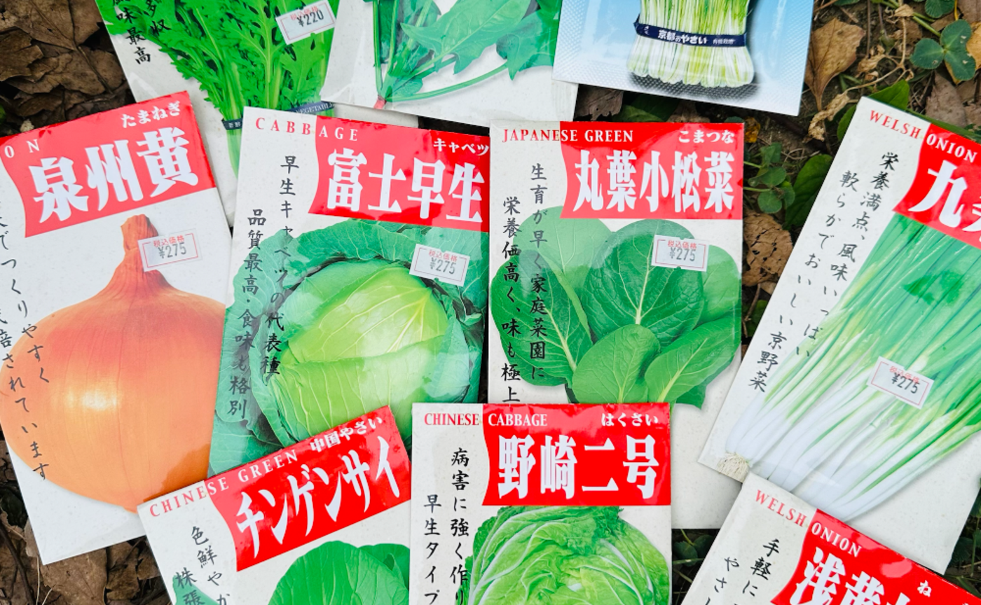 秋冬野菜の始め方:苗?種?いつから準備?