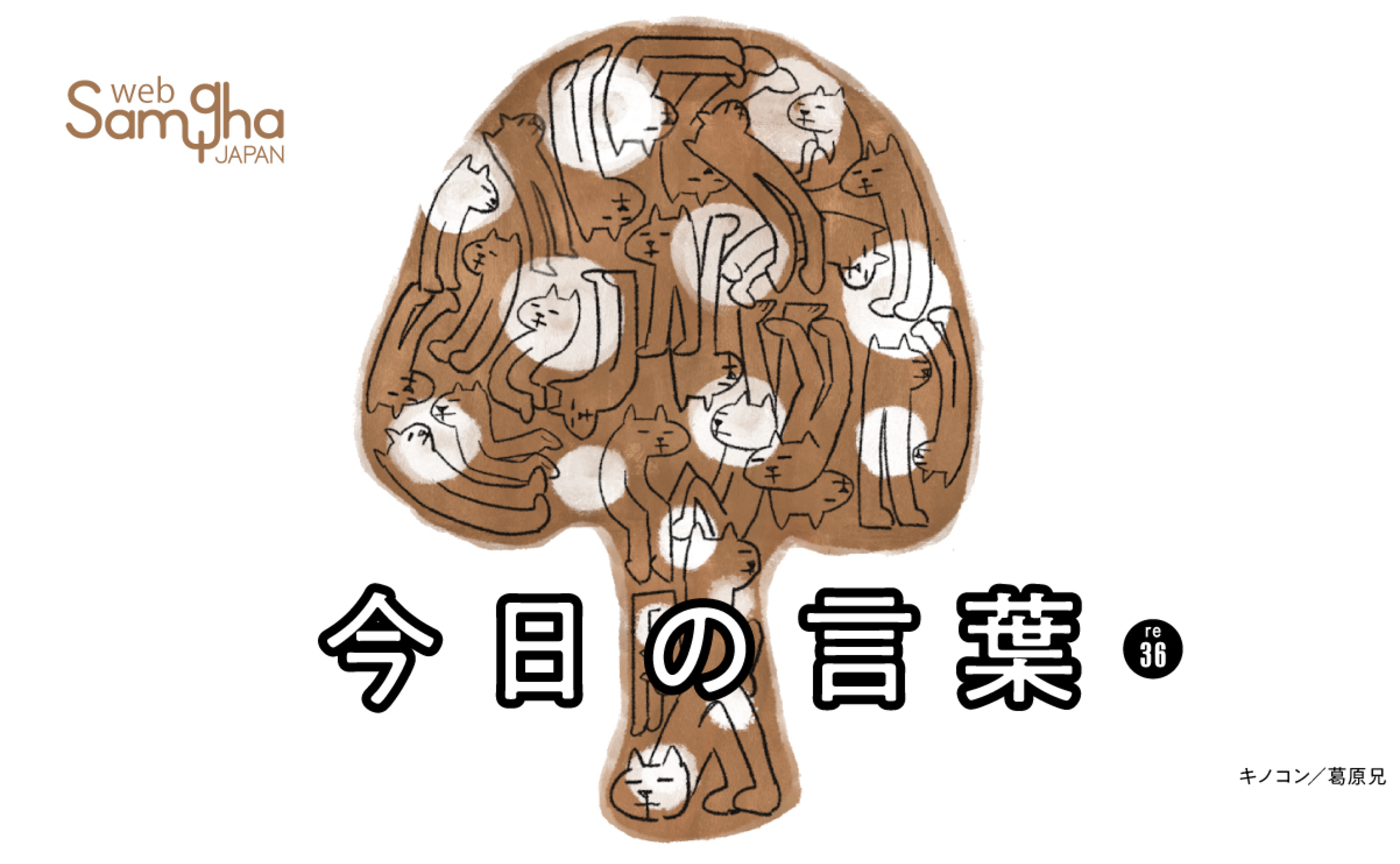 10月6日　生活習慣は裏切らない