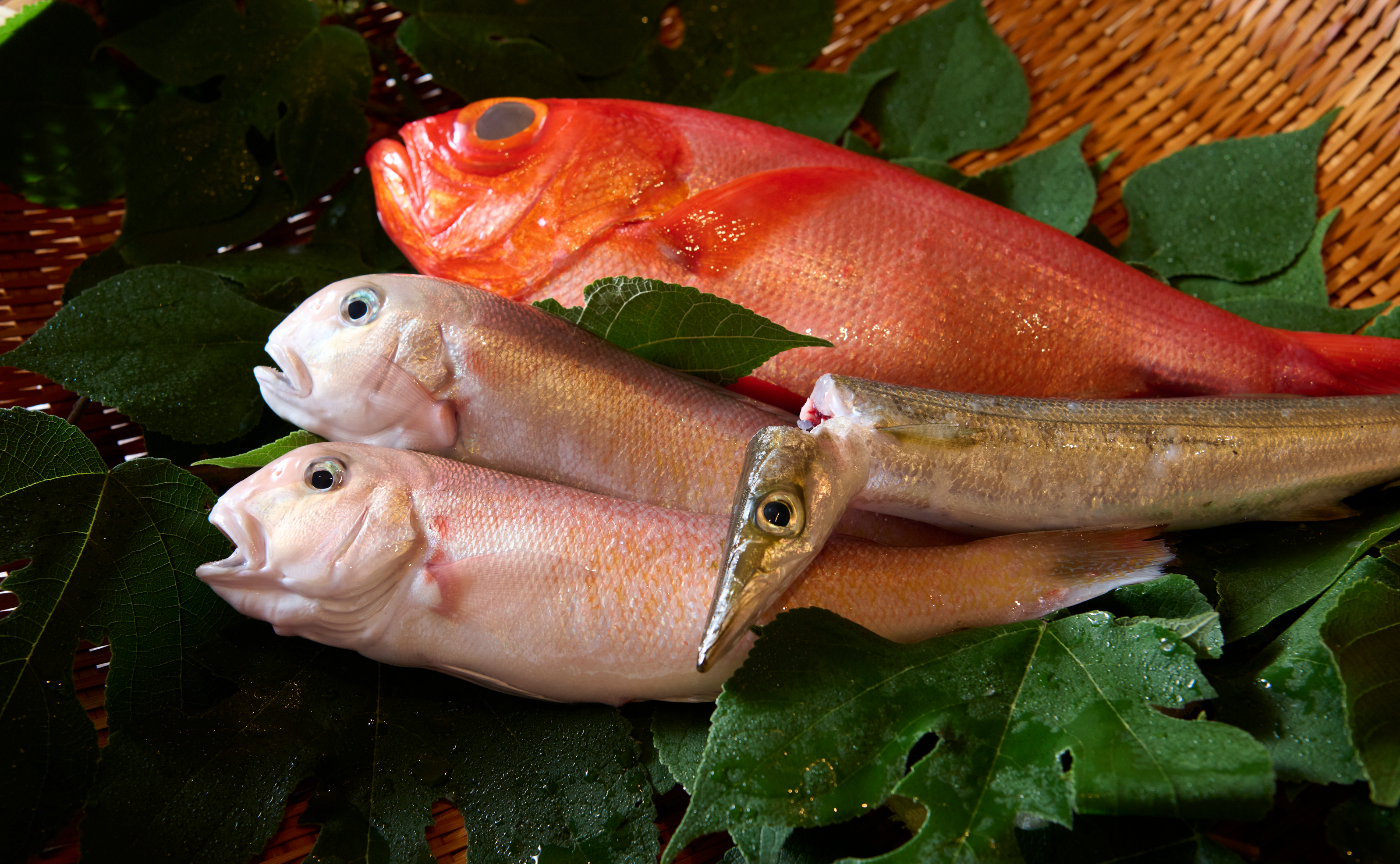 静岡・焼津『茶懐石 温石』杉山乃互編。Vol.2 調理のセオリーが通じない!? 『サスエ前田』前田尚毅が運ぶ魚