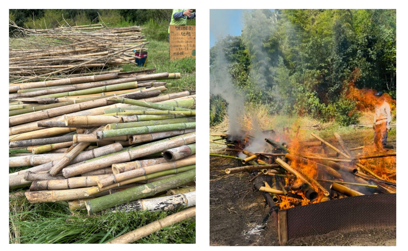 【外部公開用】瀕死の竹藪が森としてよみがえった!竹炭が教えてくれた自然の力