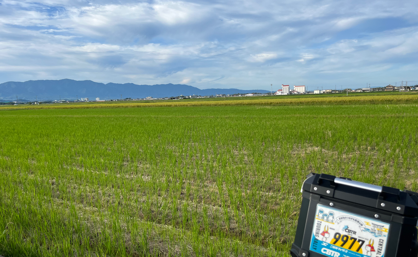 レイライン前夜