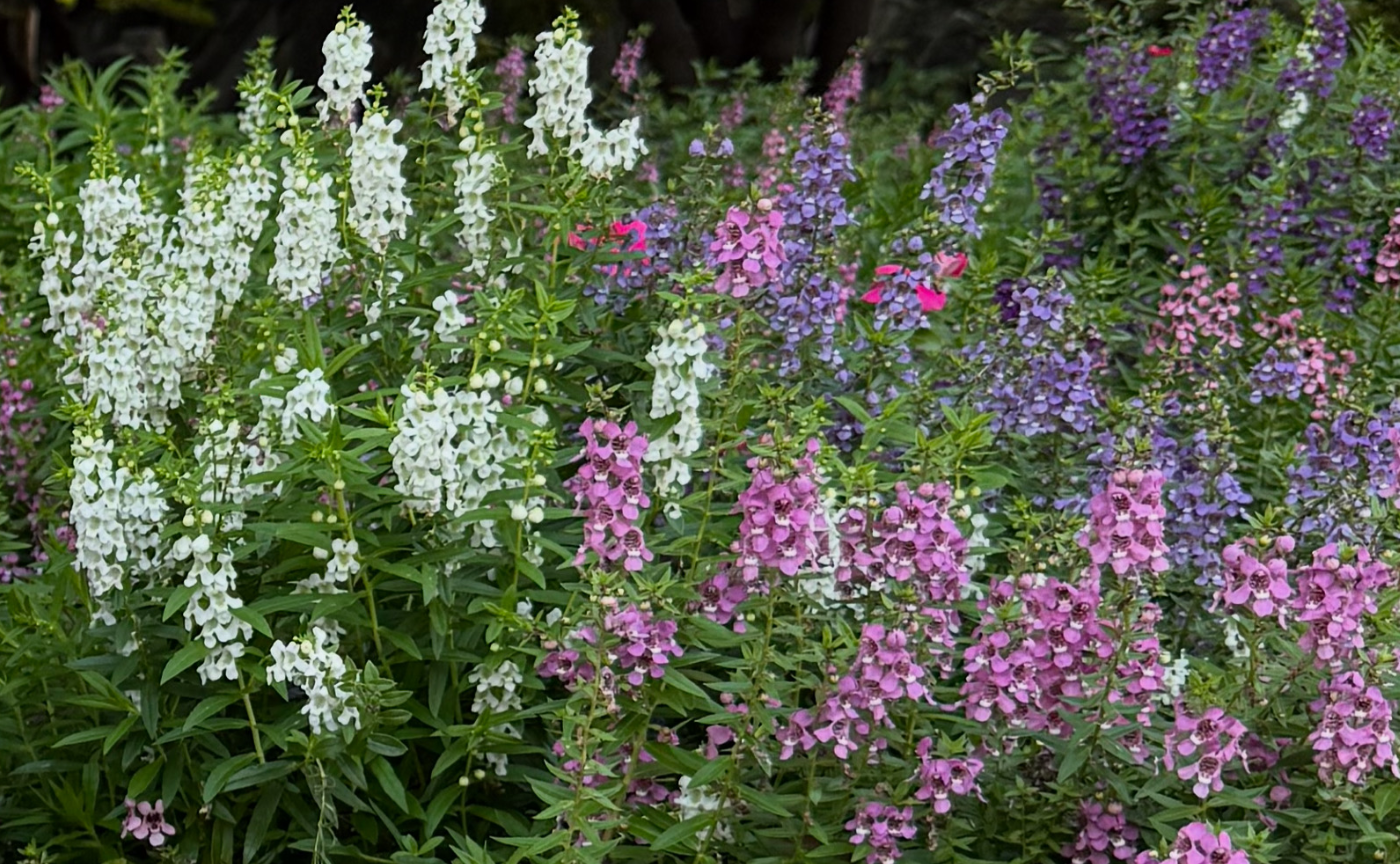 妊娠中から親子時間まで、ぬくもりをつなぐ日々𓂃𓈒𓏸