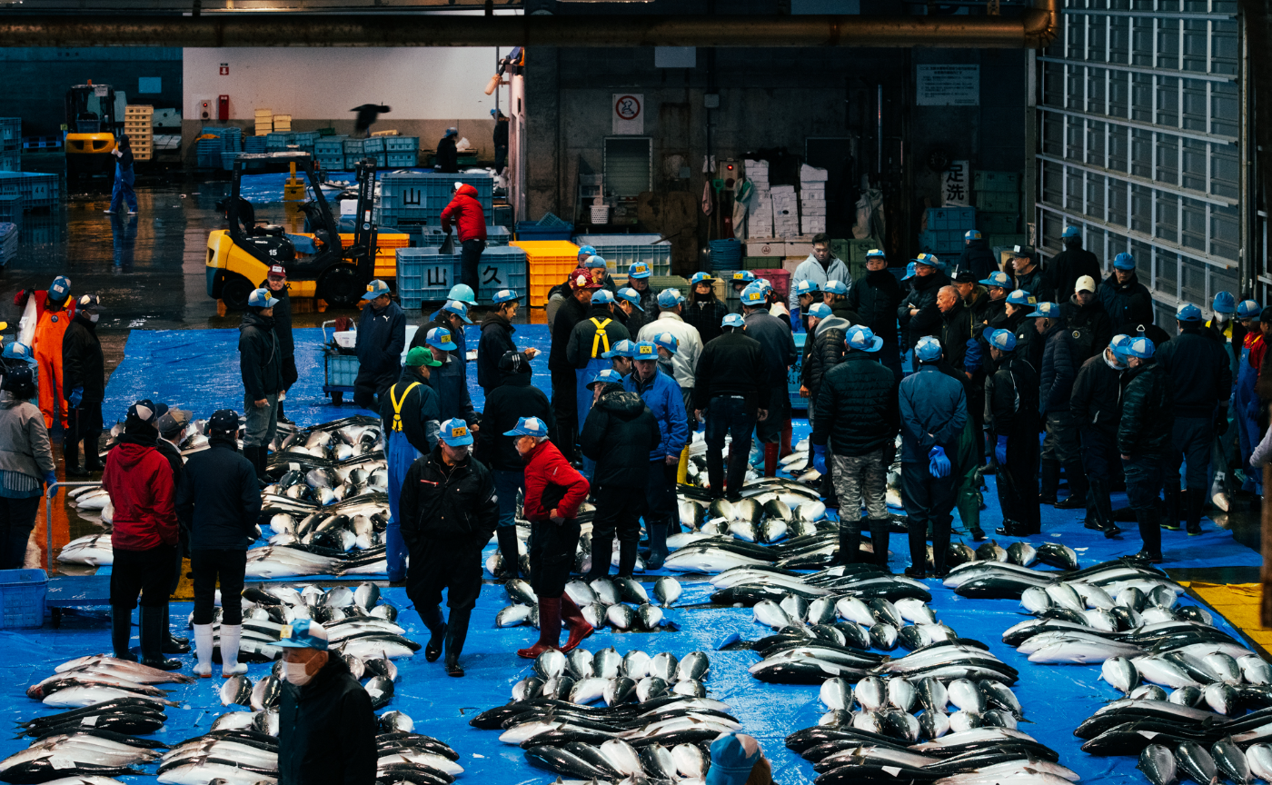 【地域文化資本ラボフィールドツアー富山編】海・里・山-風土と精神が育んだ文化を巡る-