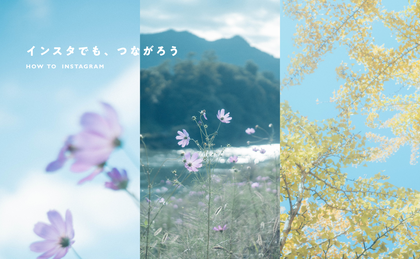 【投稿募集】みんなのcamell手帖、はじまります｜Instagram