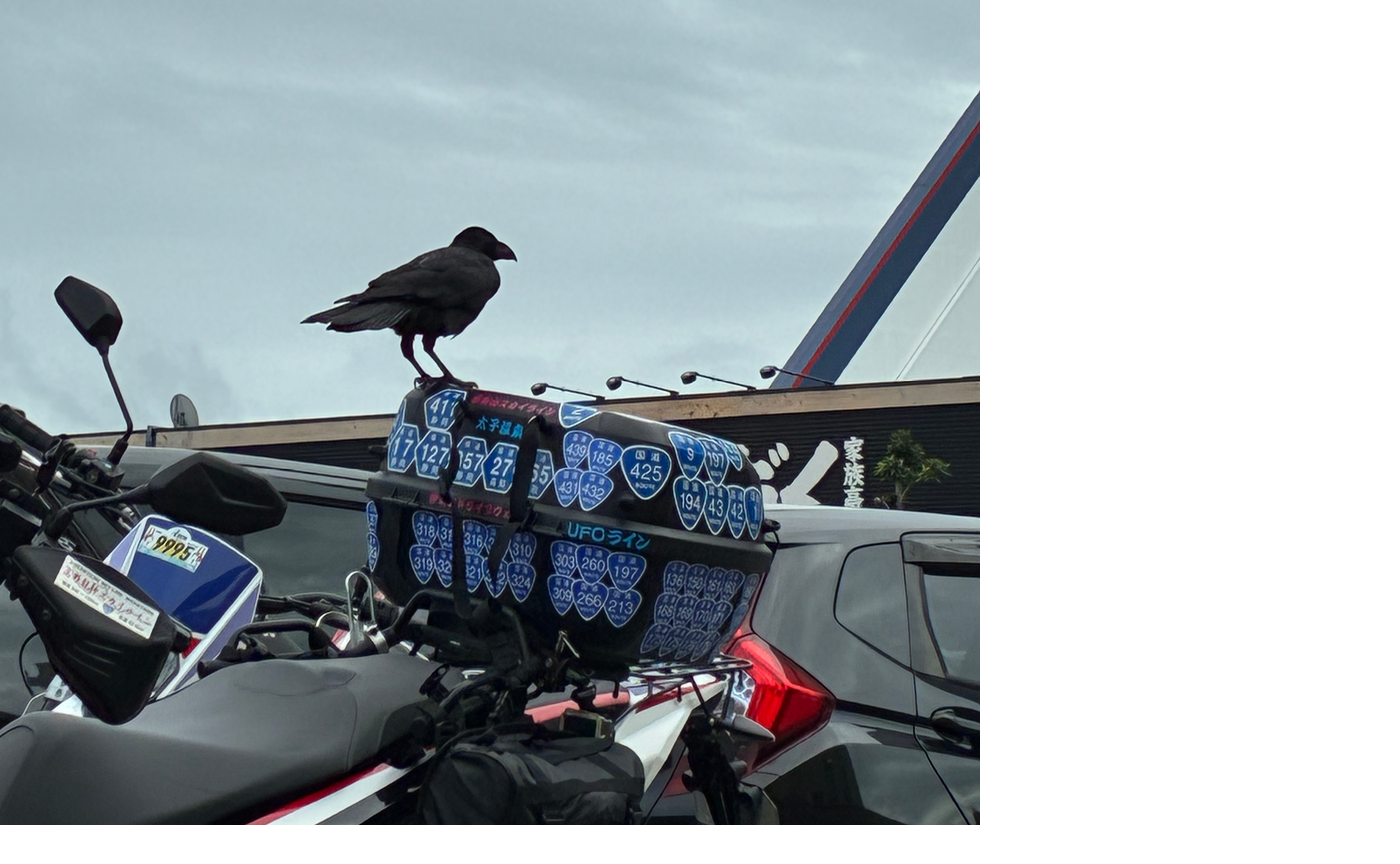 20251011 CBTRパトロール③