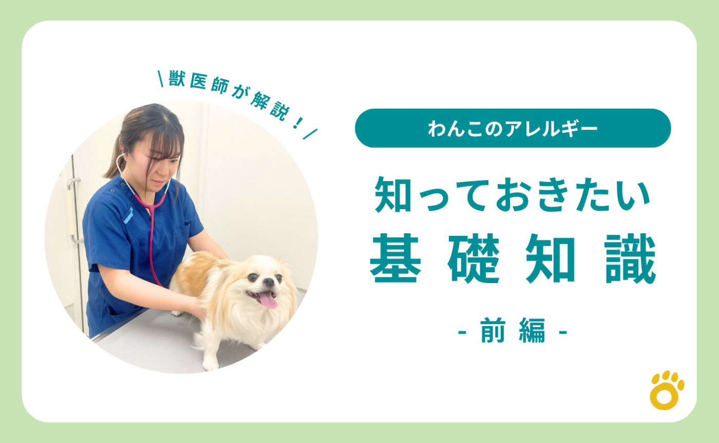 わんこのアレルギー、知っておきたい基礎知識【前編】